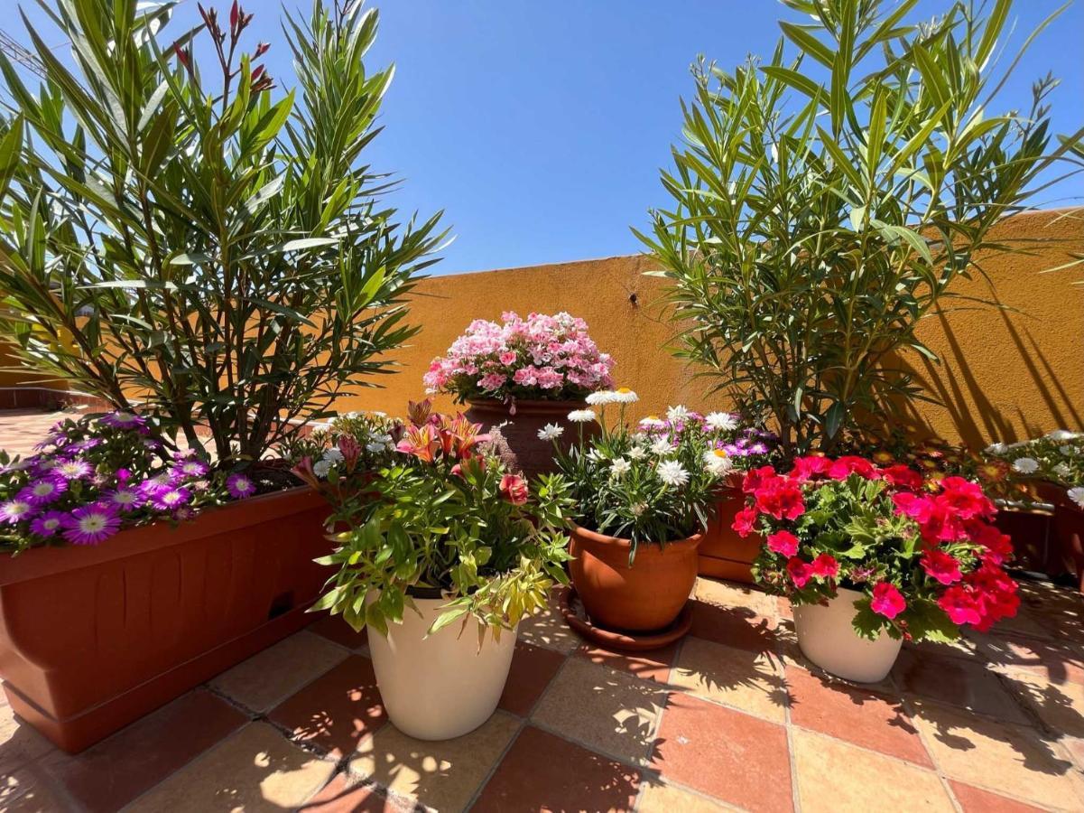 Ferienwohnung Casa Yvona Alghero Exterior foto